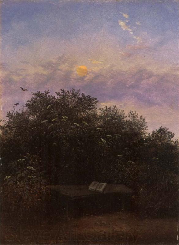 Carl Gustav Carus Blooming Elderberry Hedge in the Moonlight Spain oil painting art